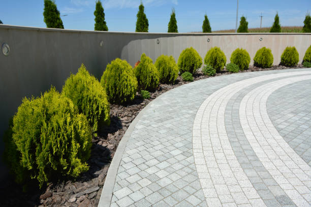 Best Driveway Pavers Near Me  in Springdale, MD